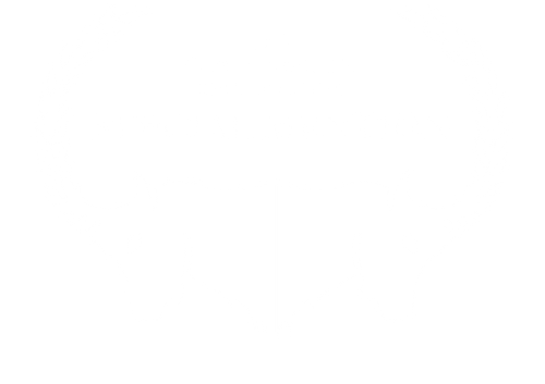 The Invisible Extinction